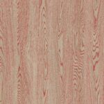R20288 Indian Oak