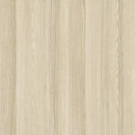 R38002 Acacia
