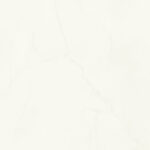S63045 India White
