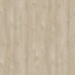 R27060 Agostino Maple
