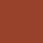 U16166 Salsa
