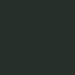 U19011 Black Green